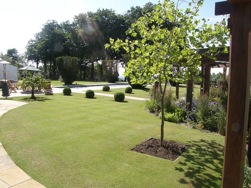 Garden re-design and landscaping project in Surrey.