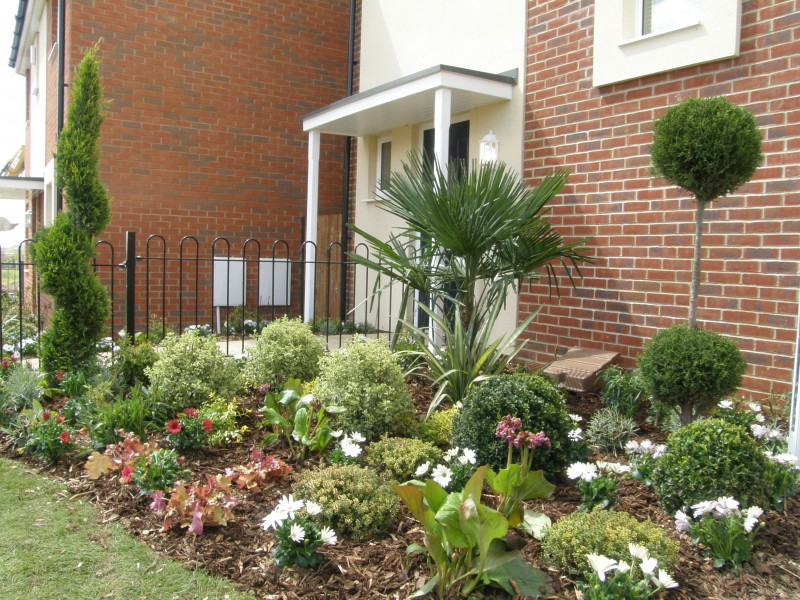 Garden maintenance services in Surrey